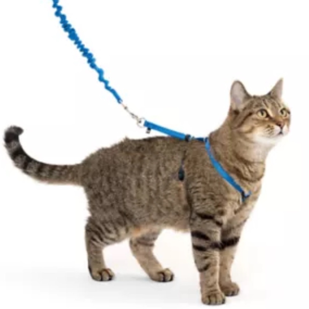 Petsafe Adjustable Blue Cat Harness and Leash Set